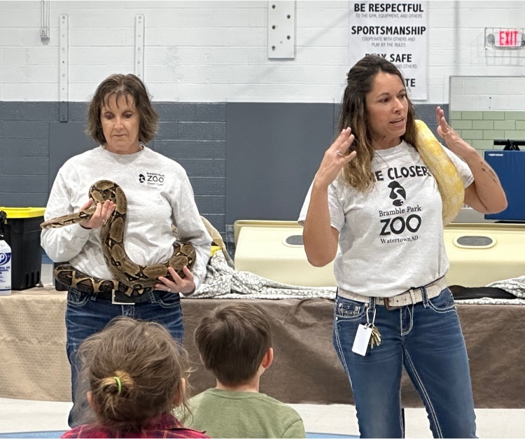 snakes